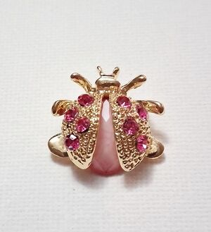 Cute Lady Bug With Pink Small Brooch